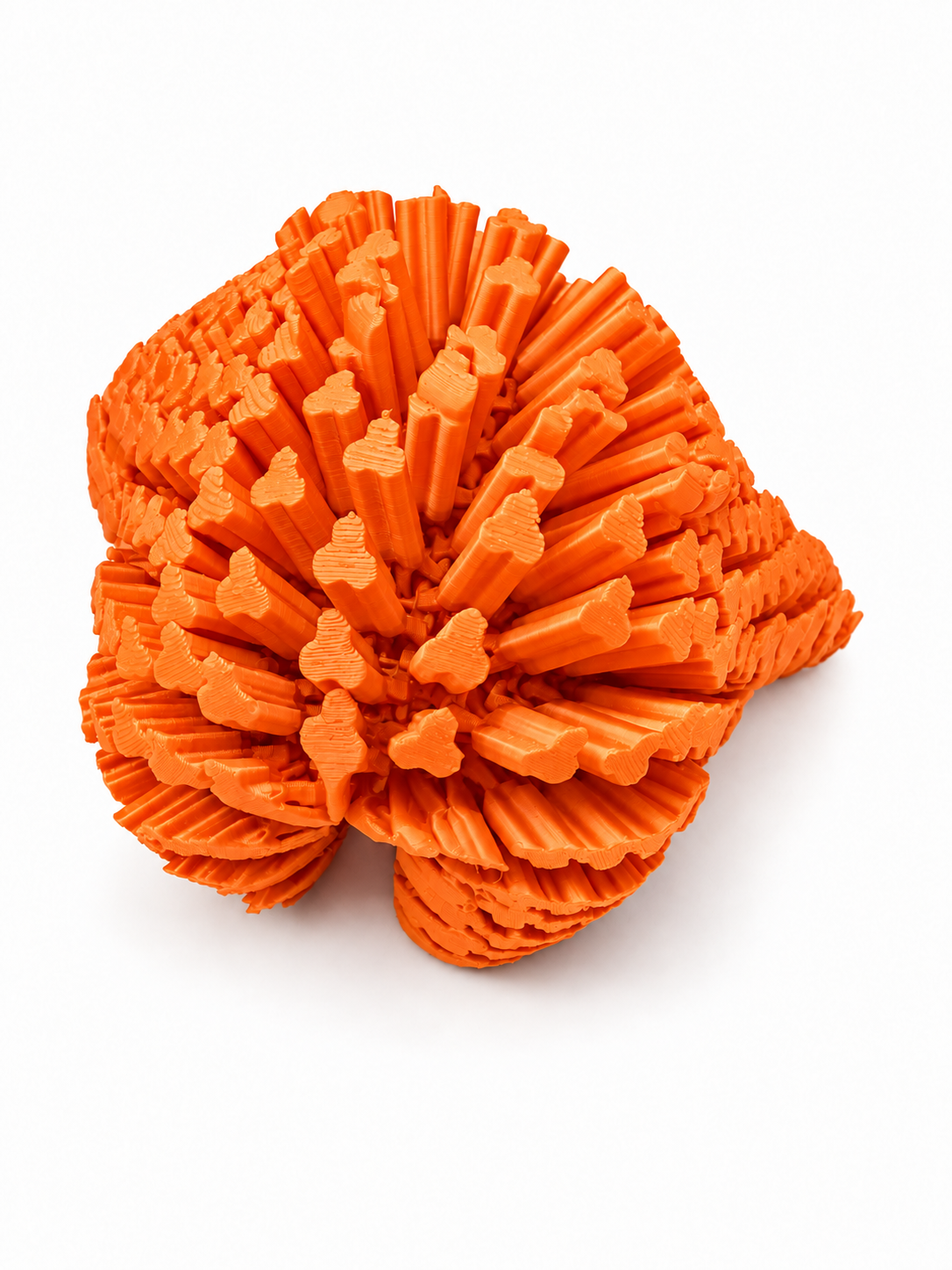 Estrella de Mar Articulada 3D – Fidget Multicolor